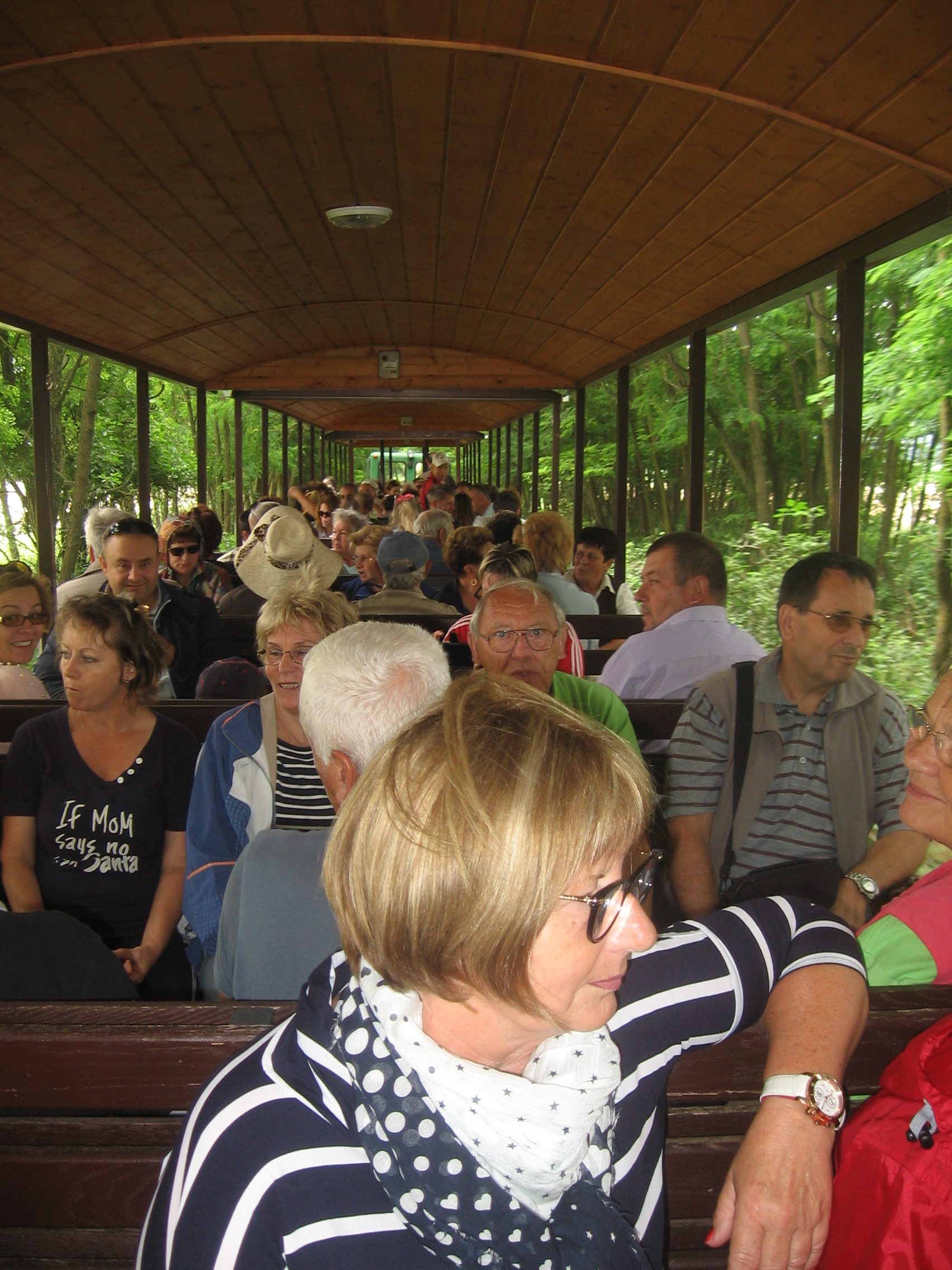 Remek volt a piknik Mesztegnyőn!